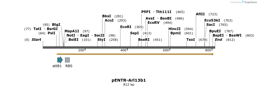 55099_map
