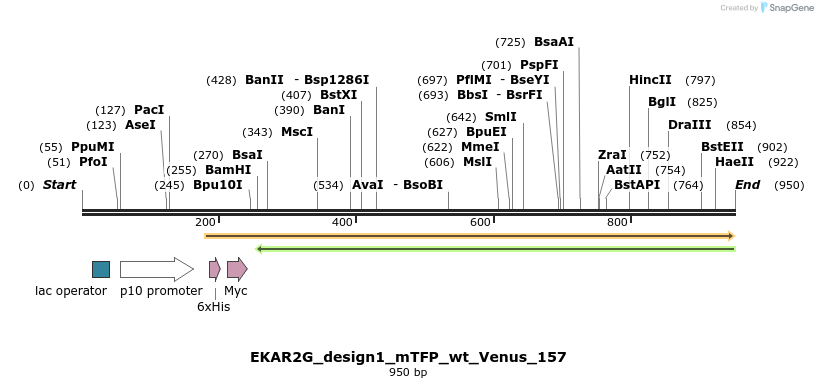 55103_map