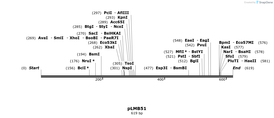 55105_map