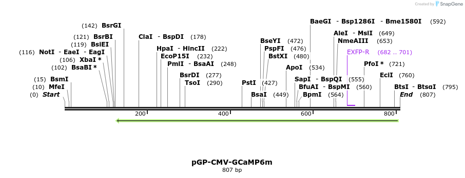55108_map