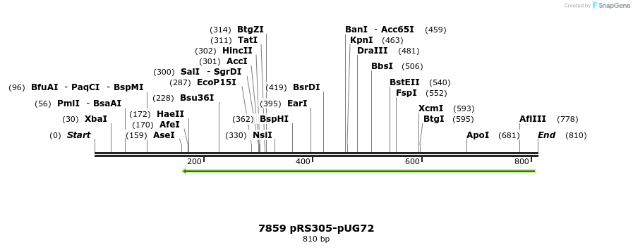 55112_map