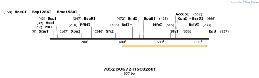 55113_map