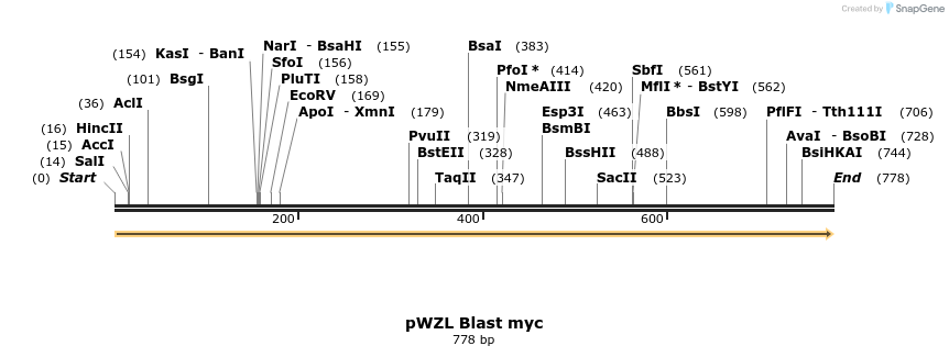 55116_map