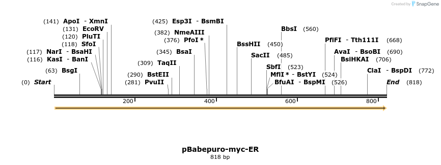 55119_map