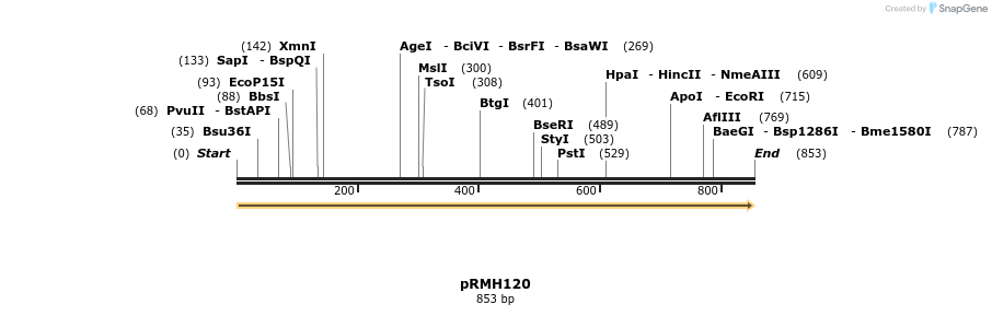 55124_map