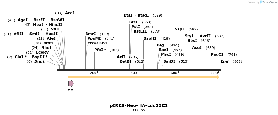 55132_map