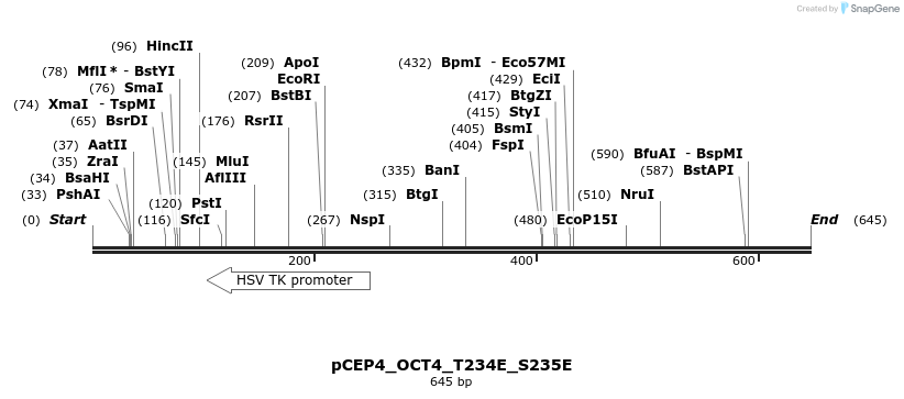 55138_map