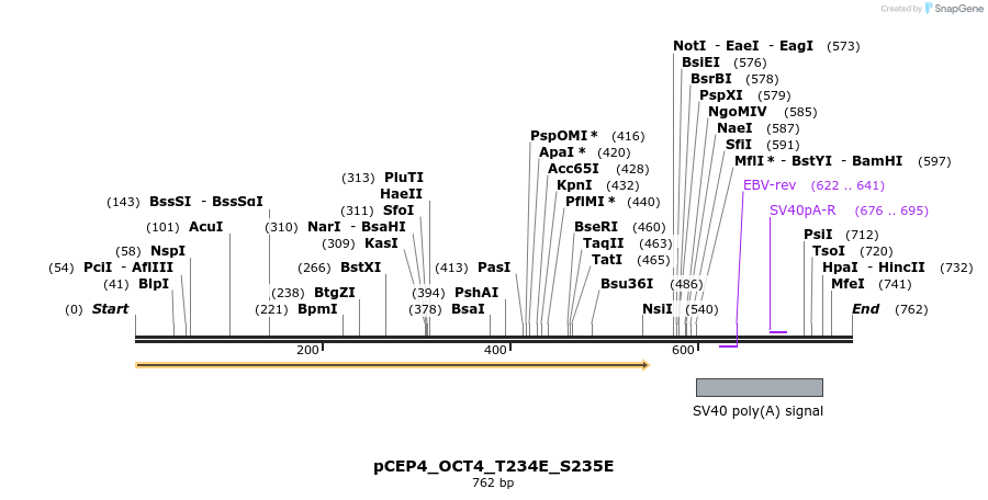 55139_map