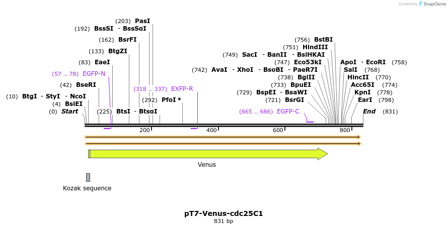 55140_map