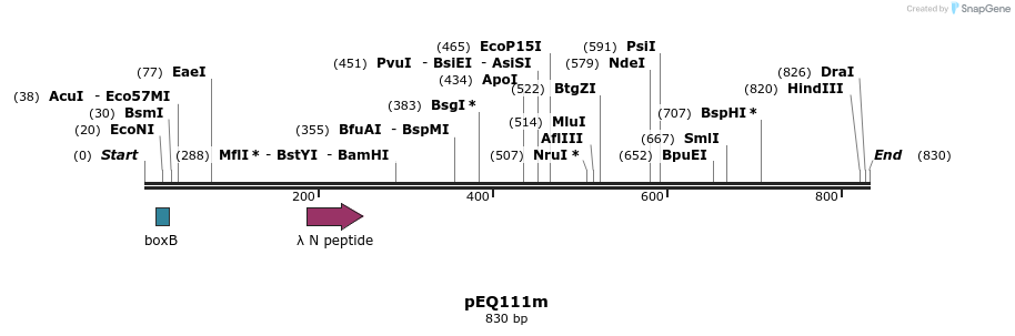 55143_map