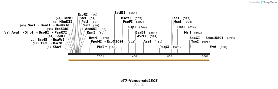 55146_map