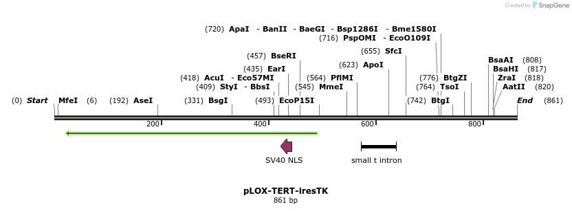 55147_map