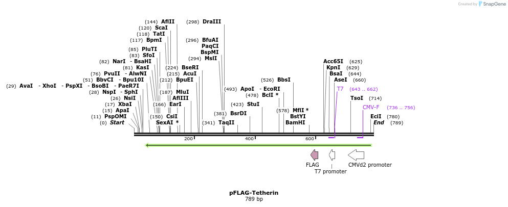55154_map