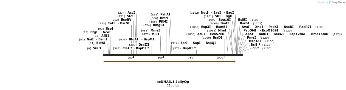 55157_map