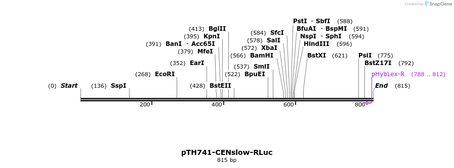 55164_map