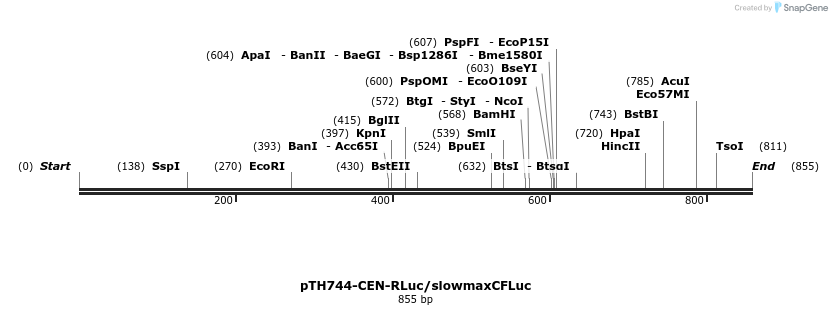 55168_map