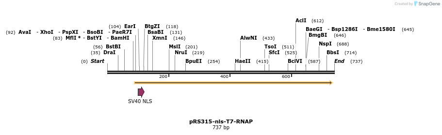 55171_map