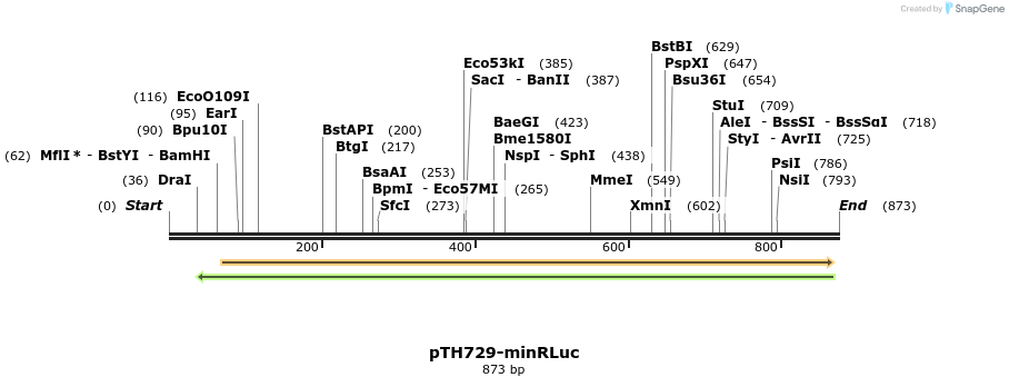 55172_map