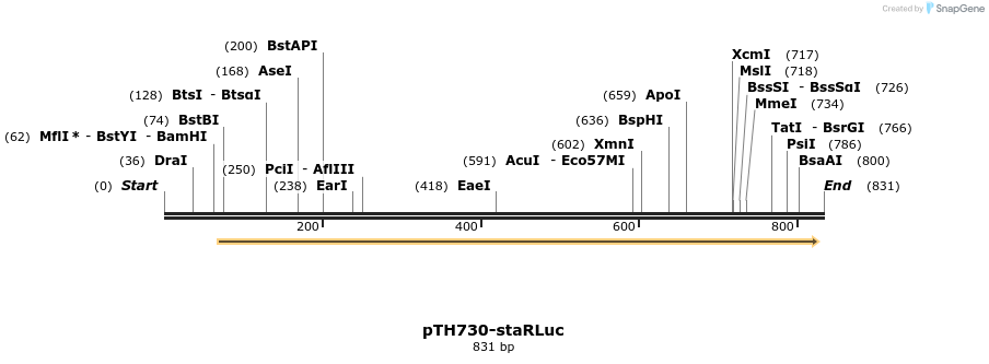 55175_map