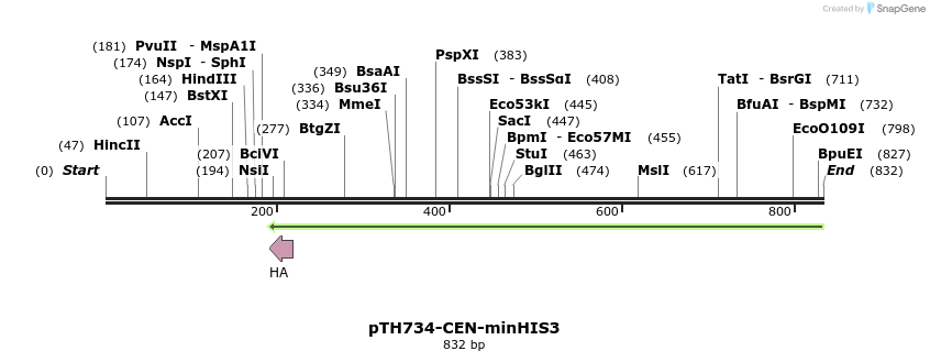 55176_map