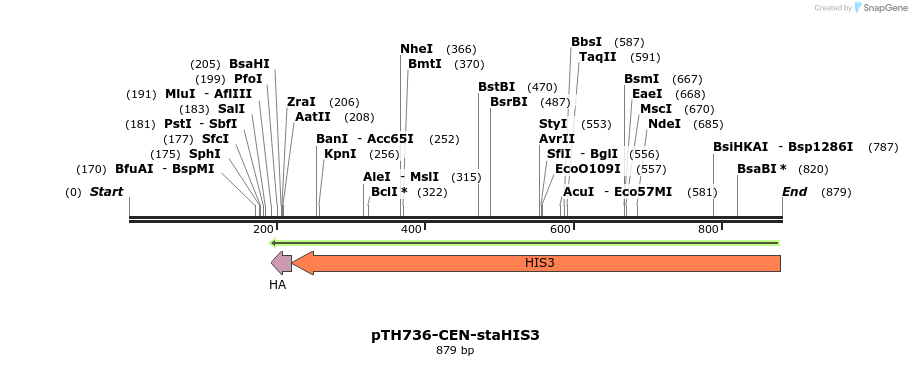 55177_map