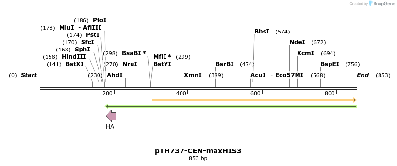 55181_map