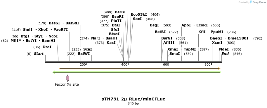 55186_map