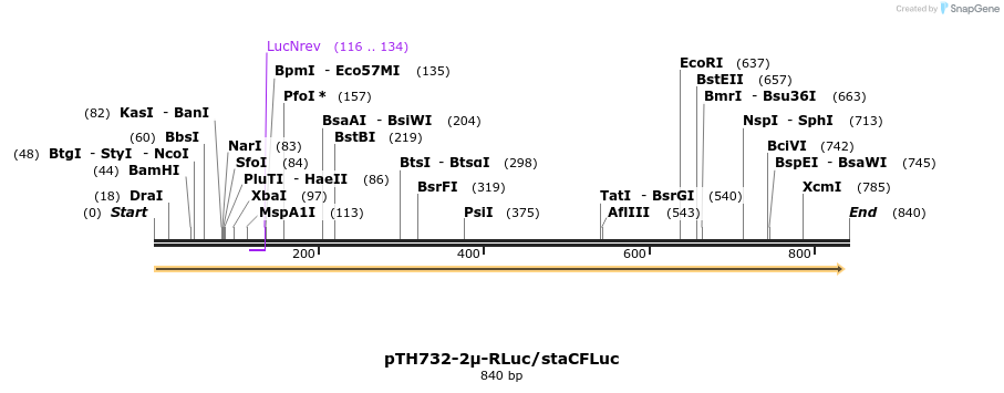 55187_map