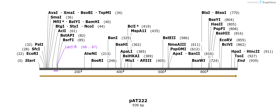 55189_map