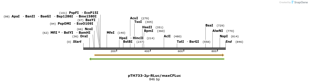 55190_map