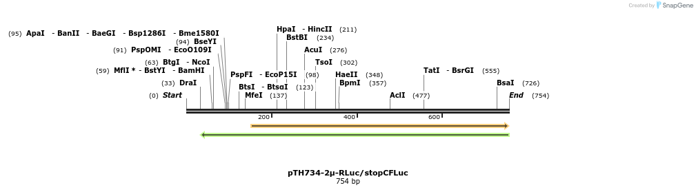55191_map