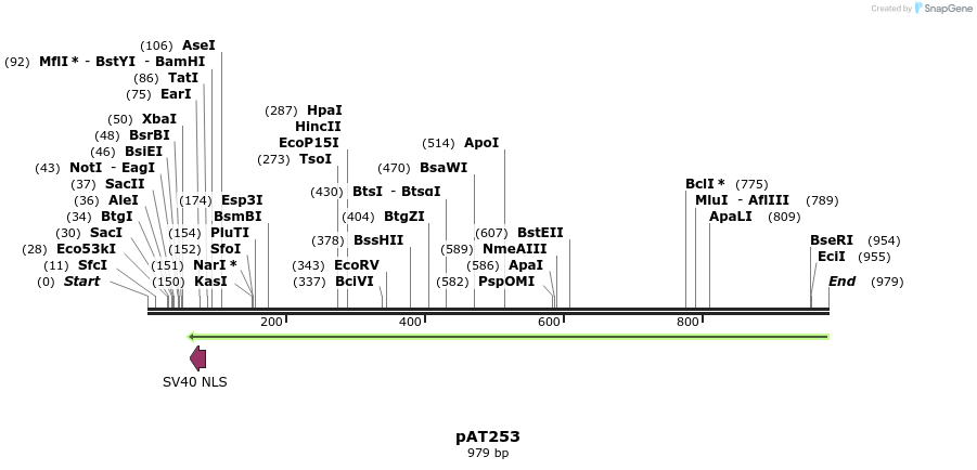 55192_map