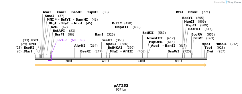 55193_map