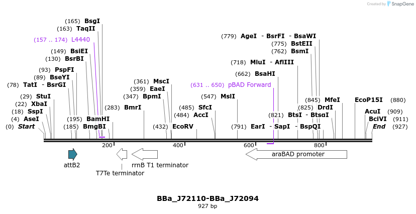 55195_map