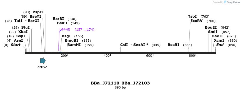 55200_map