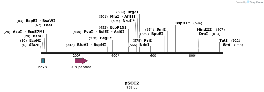 55208_map