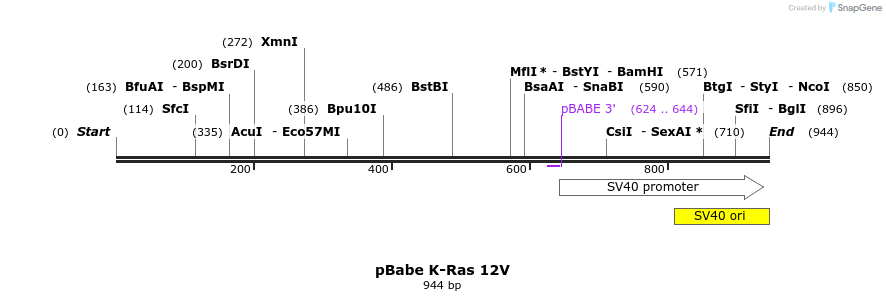 55211_map