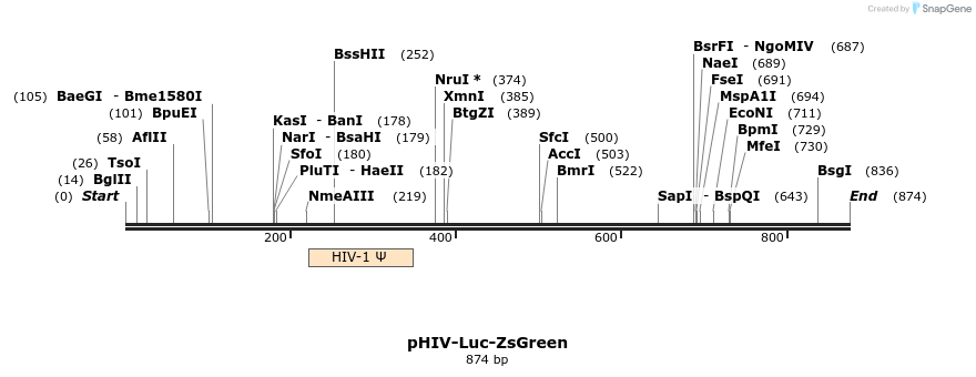 55220_map