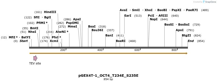 55222_map