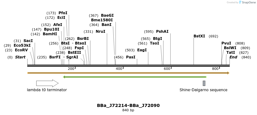 55230_map