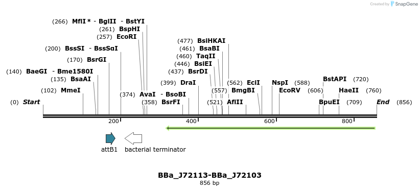 55234_map