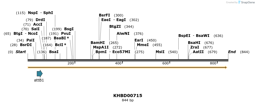 55239_map