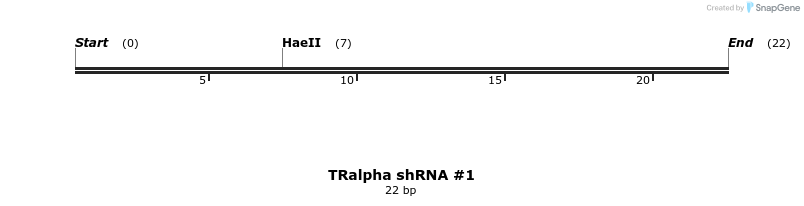 55258_map