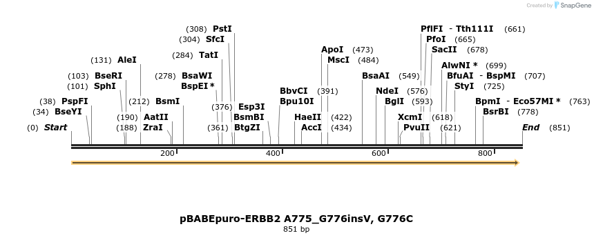 55260_map