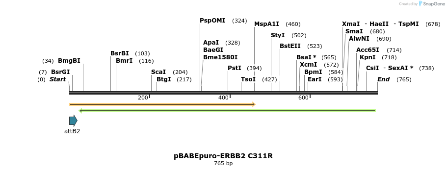 55261_map