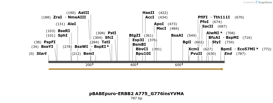 55264_map