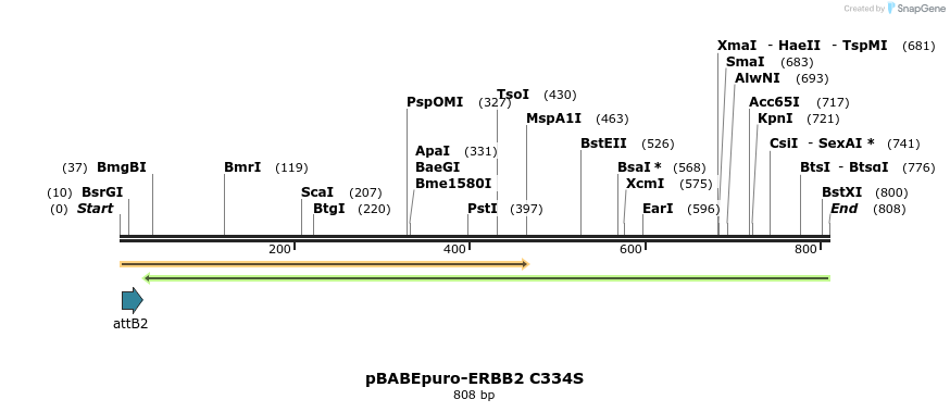 55265_map