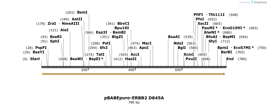 55266_map
