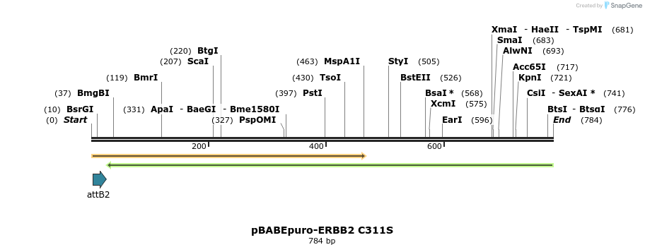 55267_map