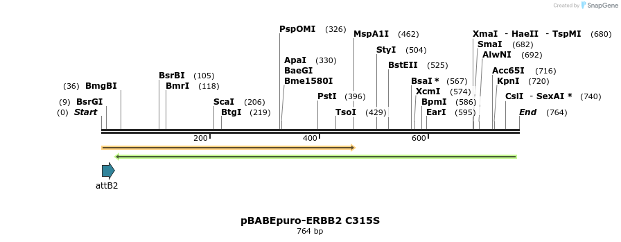 55268_map